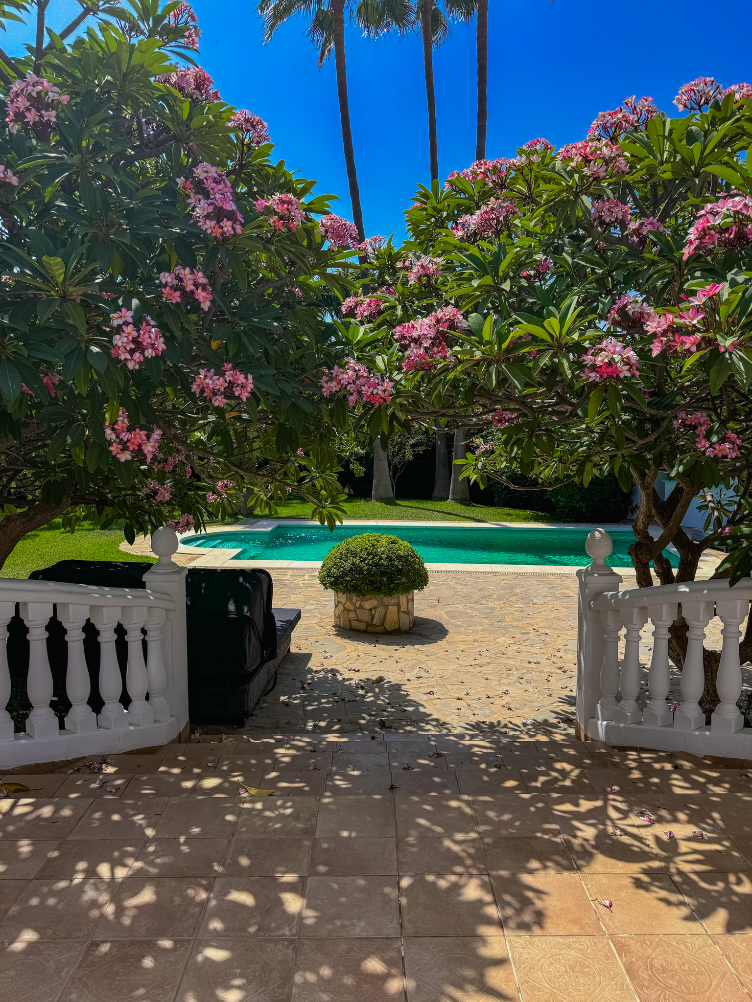 venura-marbella.jpg